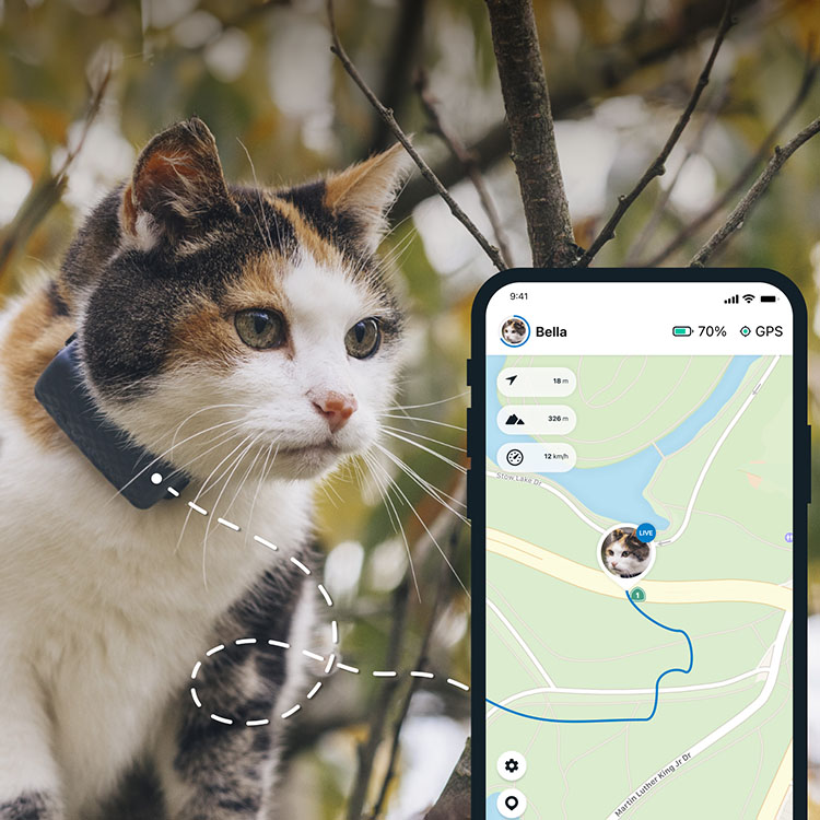 GPS til katt - Tractive GPS-tracker til katten | SmartaSaker