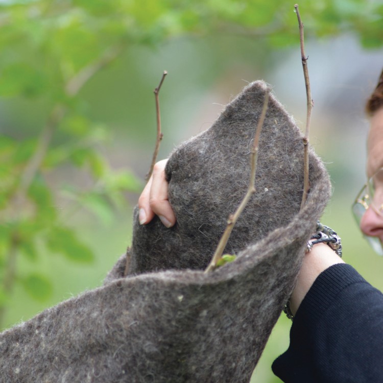 Vinterbeskyttelse til planter, ullteppe